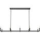 Daxley 10 Light 59.75 inch Matte Black Chandelier Ceiling Light